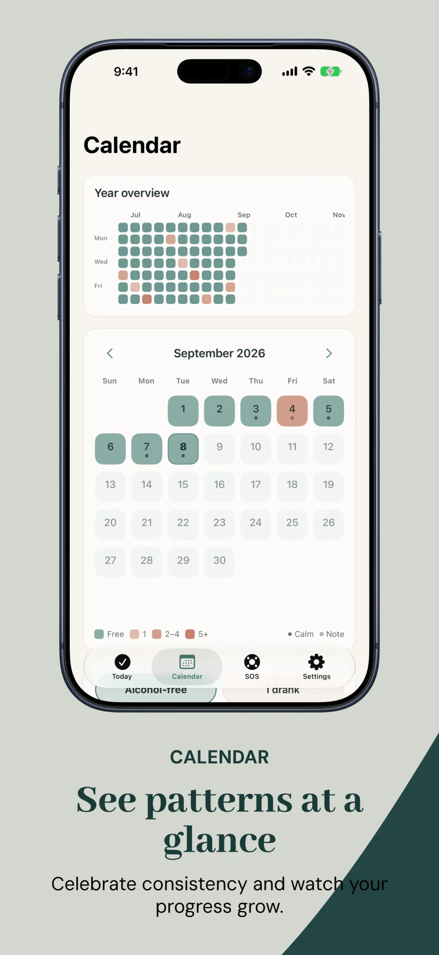 Calendar and yearly heatmap overview for noticing drinking patterns at a glance